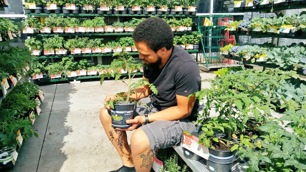 ChefGabrielHK12's tweet image. I&apos;m always looking for new herbs, fruits, and vegetables to put in my garden! Any suggestions on what I should plant next? #chefchallenge #vegan #garden #gardening #herbs #vegangram #plants #vegetables #fruit