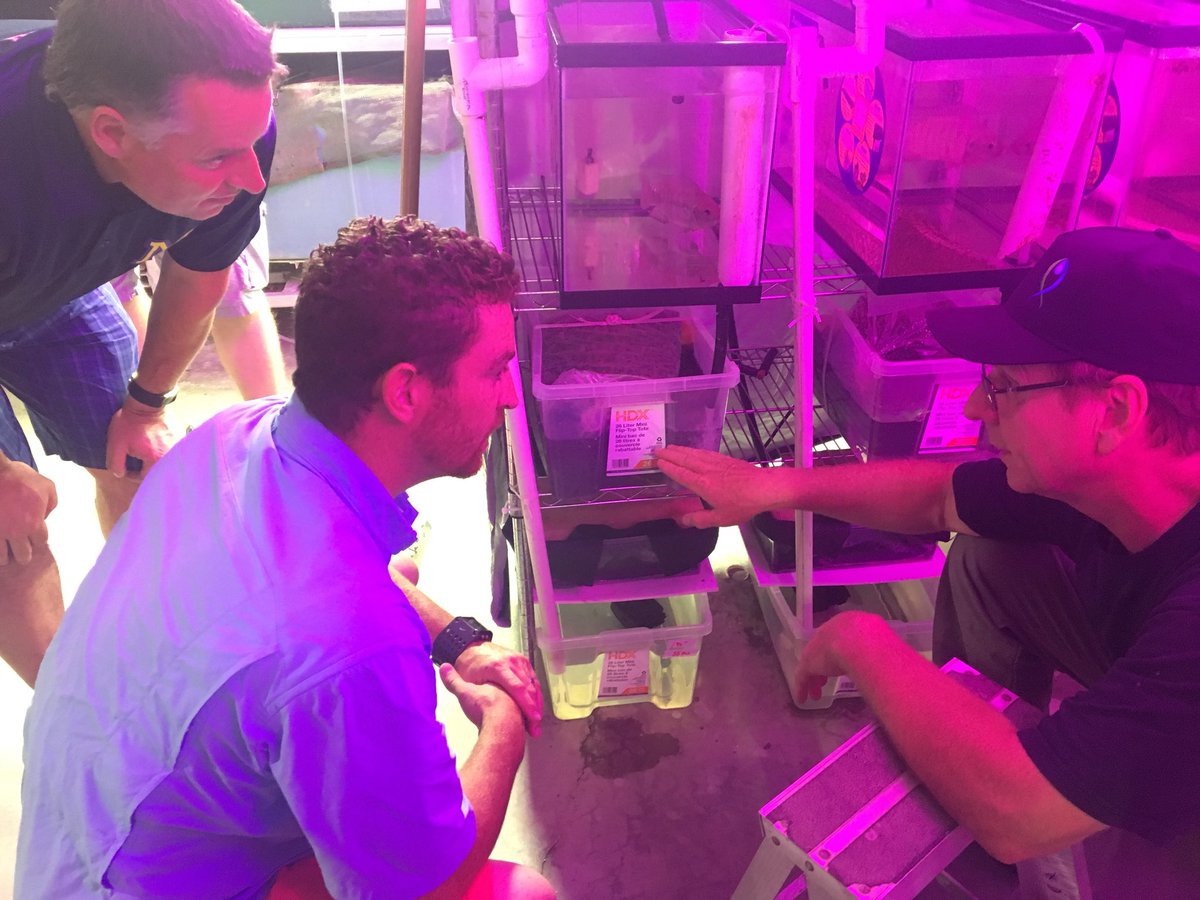 RWB74's tweet photo. Aquaponics at Lethbridge College.  Summer learning.  #saepsummercourse2018 https://t.co/bAls5yYvtf