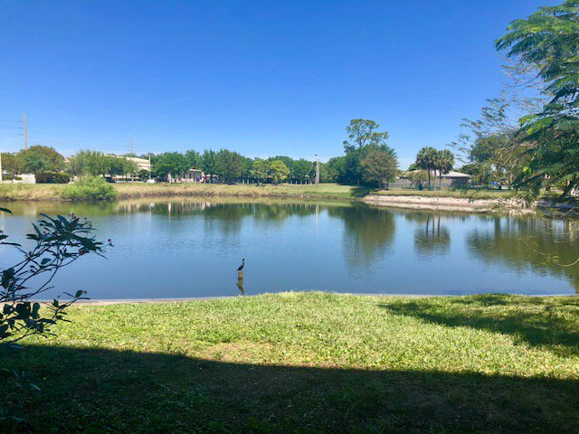 davidassociate's tweet image. 6415 Lakeview Corporate Center has beautifully serene lake views, plenty of available parking and is close to shops, restaurants and highways. There is an entry code system, and many of the suites are recently renovated!

Please contact Molly at: (561)249-2692 or (561)832-9785