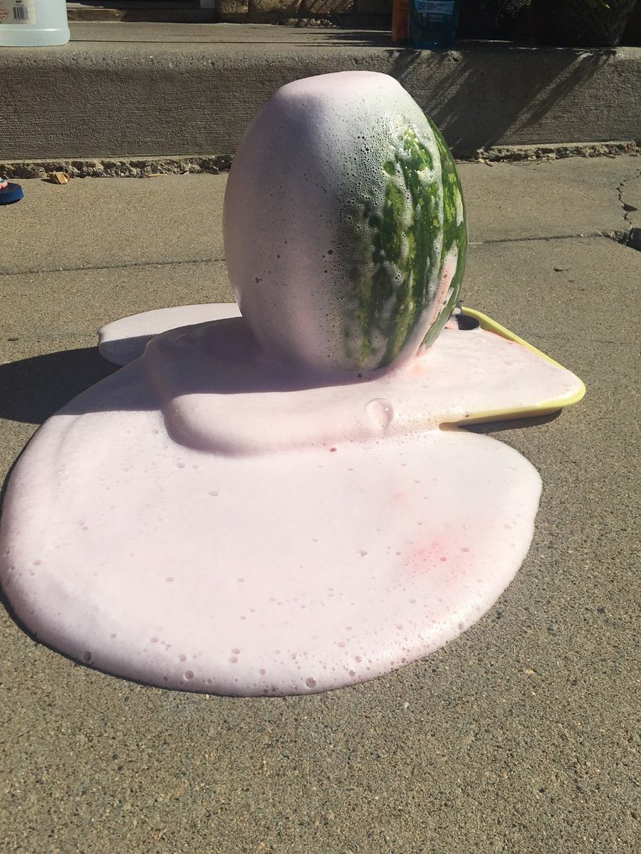 LittleSchoolMN's tweet photo. Watermelon volcano! 🍉
#preschoollife #scienceforkids https://t.co/3zz51yiJKJ