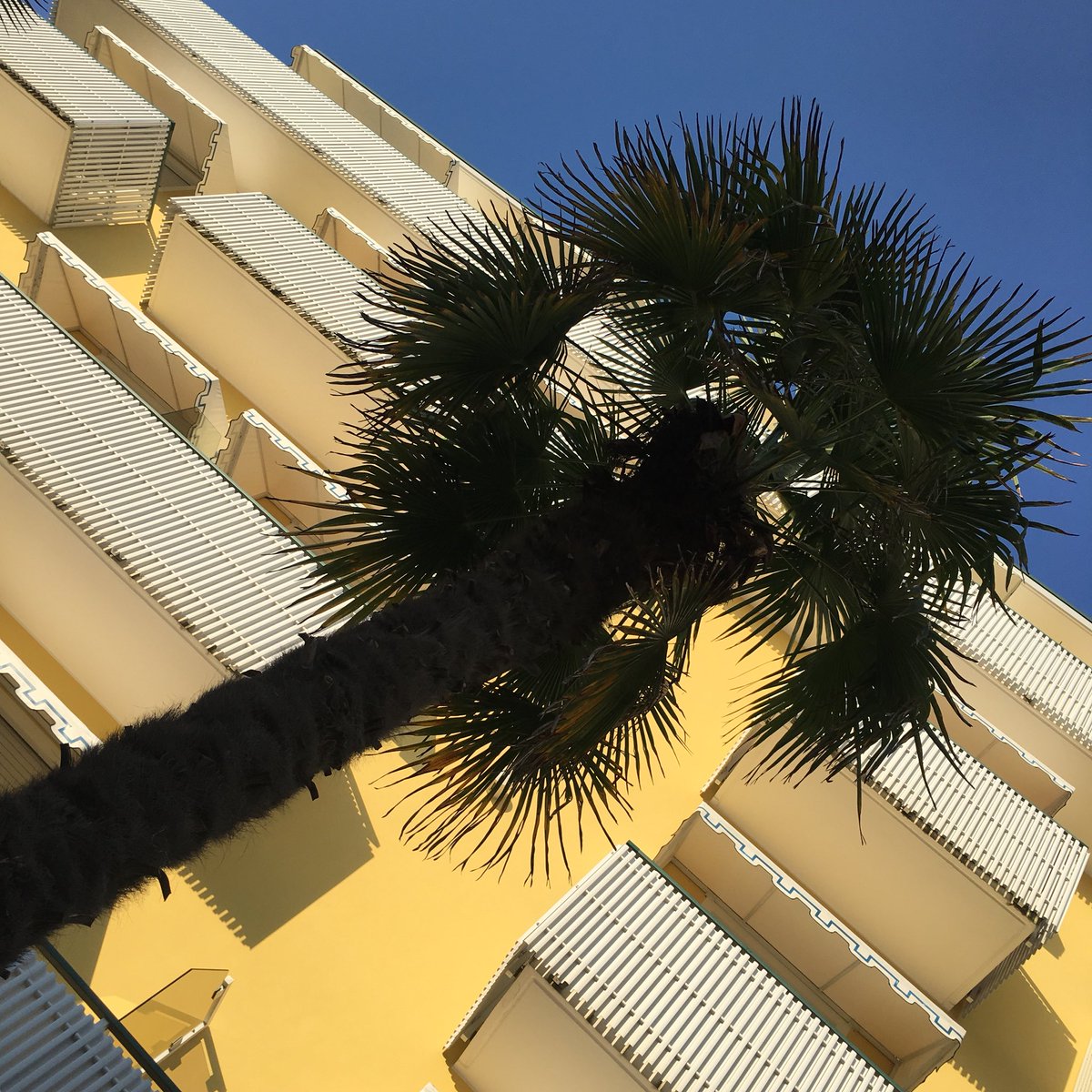 drCryptox tweet media