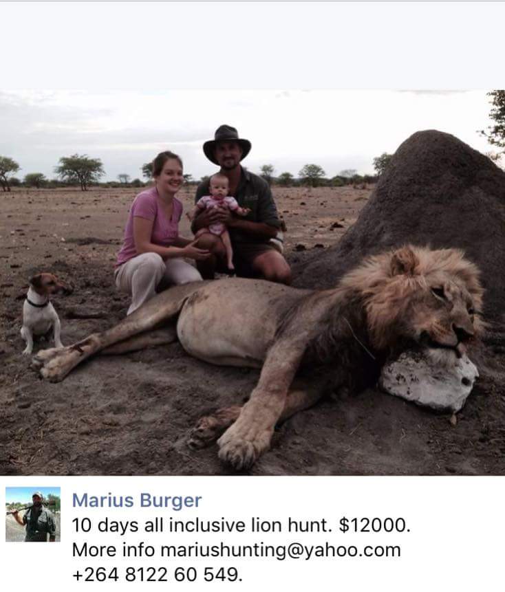 ChapiEtChapo's tweet image. Credit:@XposeTrophyHunting 

#BanTrophyHunting 
#ExposeTrophyHunting