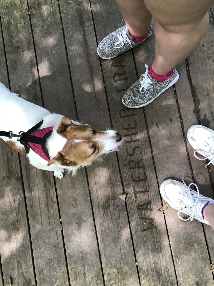 Great day for a hike in Nolde Forest! <a href="/ReadingHosp/">Reading Hospital - Tower Health</a>