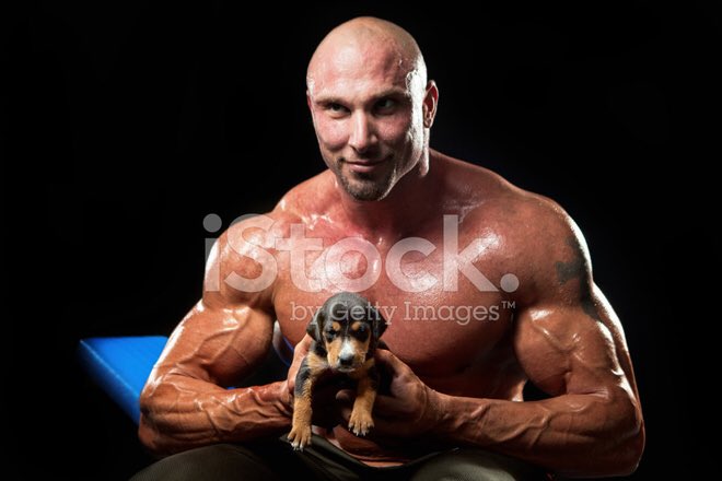 Lanaroske1's tweet photo. @MOFAVietNam @UMFKorea @PDChina @indonesiaunny #REALMEN LOVE, PROTECT AND RESPECT #DOGSANDCATS ‼️ THEY ARE OUR BEST FRIENDS‼️ ❌NOT FOOD‼️❌ SUPERSTITIONS THAT SAY #DOGCATMEAT IMPROVE #SEXUALPROWESS #VIRILITY AND #MEDICALTONICS HAVE ❌ZERO SCIENTIFIC VALIDITY❌ https://t.co/Hwn8pkr7uh