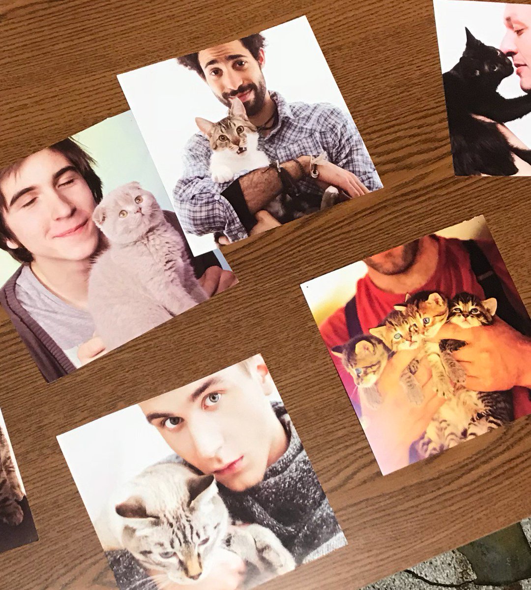 sharingtable's tweet image. r cats ur thing? these are nice office decorations. have one or two. 🐱 #thesharingtable