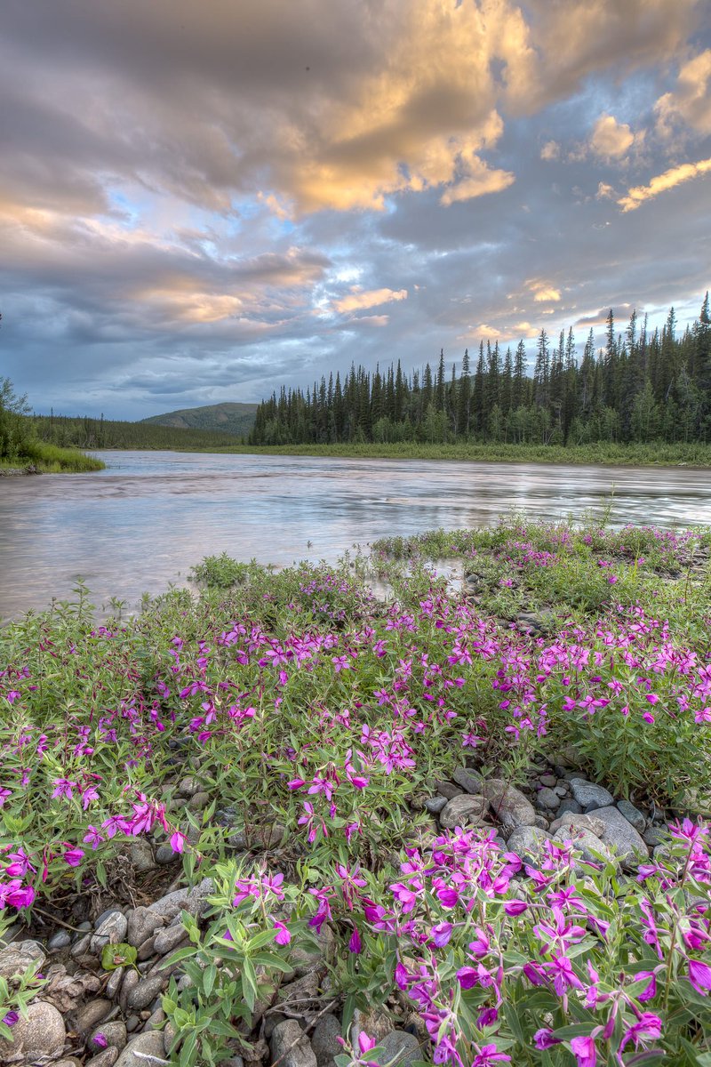 Alaska's Beaver Creek Wild and Scenic River.