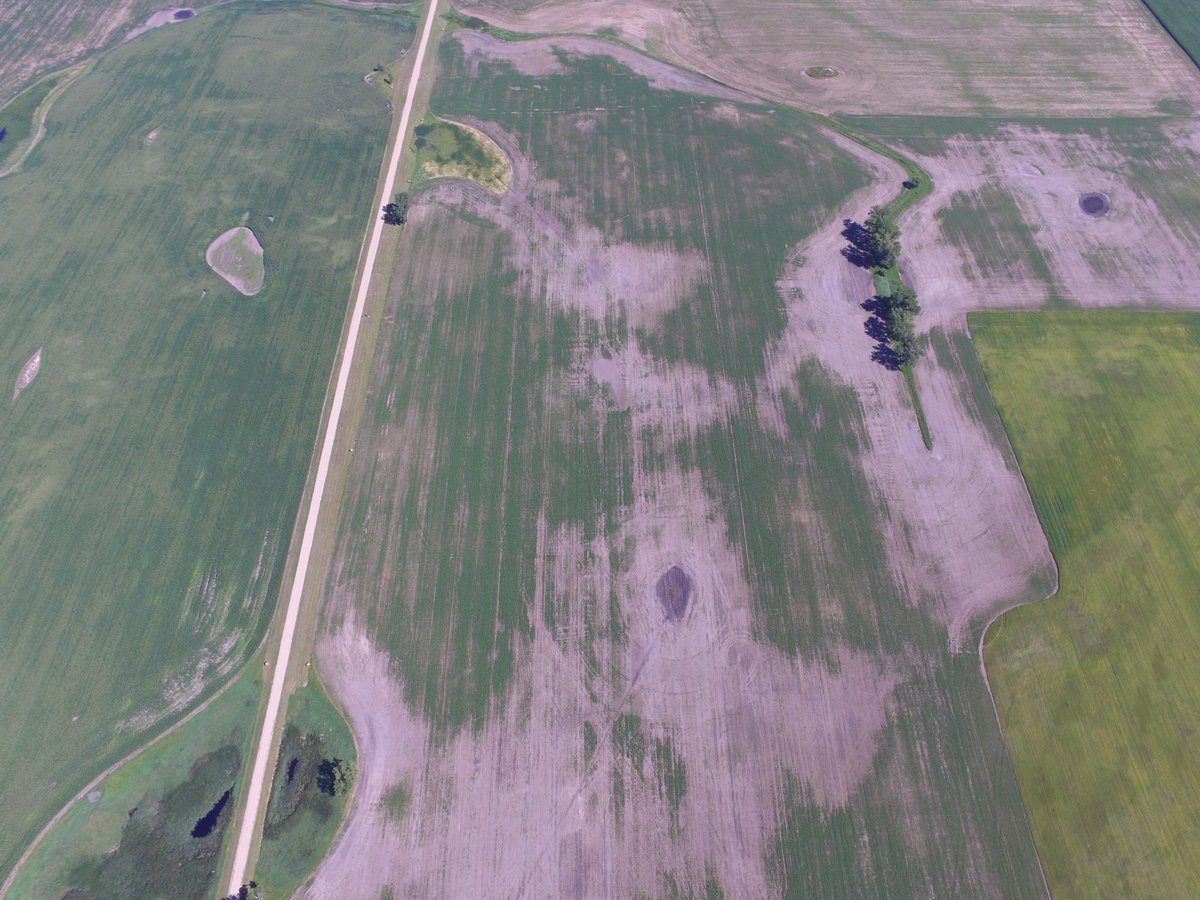 Lee_Briese's tweet photo. Drone view of #salinity in a soybean field. #scouting18 https://t.co/f36qkAYlAz