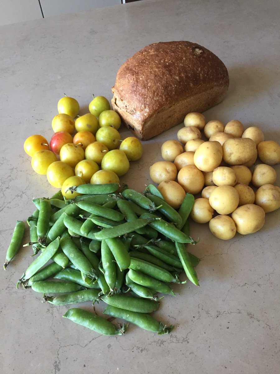 Tribecacanuck's tweet photo. Thank you farmers from my @BloorBordenMkt    This makes me very happy! https://t.co/9NOPeKooRu