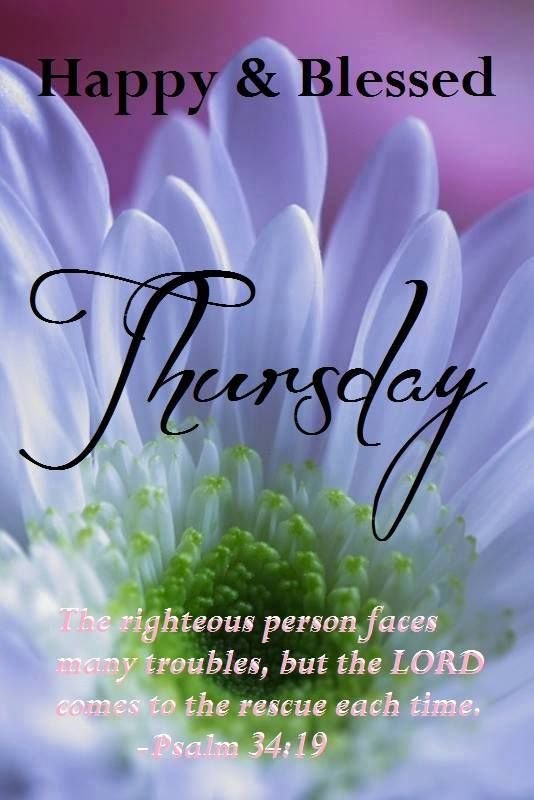 ranigill7's tweet photo. #HI FRIENDS GM 💐LOVE IS  LIFE.💐

❤️Be Soft and cool Like water,
So U can Adjust anywhere in Life
Be hard &amp; attractive Like Diamond,
So No one can play with ur emotions.🌹

🌹❤️HAPPYTHURESDAY☺️
#FRESH DAY 
#FRESH HOPES
#FRESHPLANS
#FRESH EFFORTS 
 #GR8 SUCCESS
 #BE BLESSED https://t.co/kTDbkNsgiu