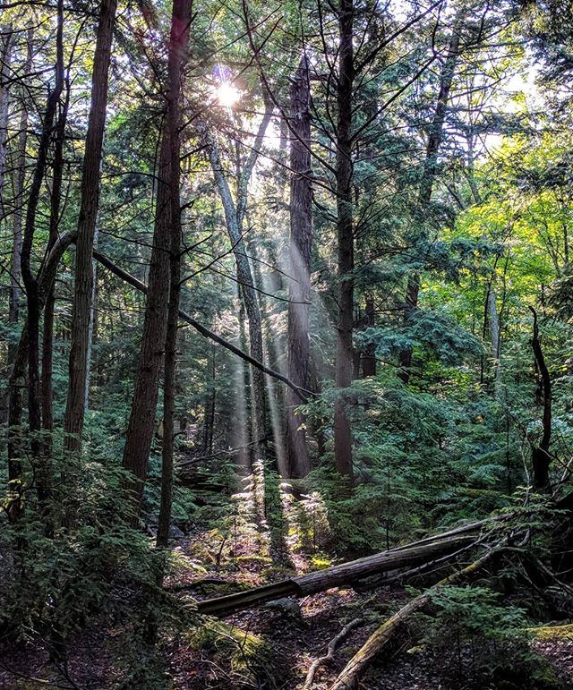 johnfaucher's tweet photo. Camping https://t.co/ga4FPgw8p5 https://t.co/TLt2W5JyvD