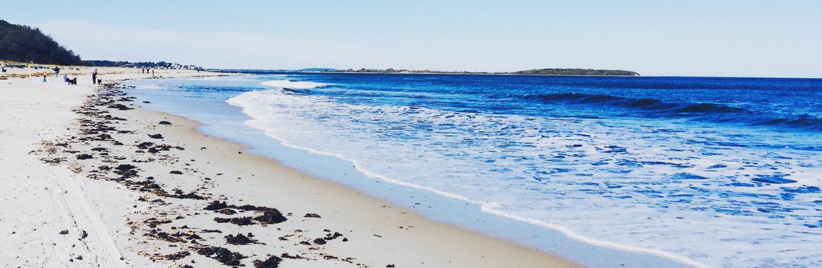 *TONS OF DATES* Direct Flights from Niagara Falls to Myrtle Beach for $135 Round-Trip! dailytriphack.com/tour/direct-ro… #traveldeals #yyz #travel