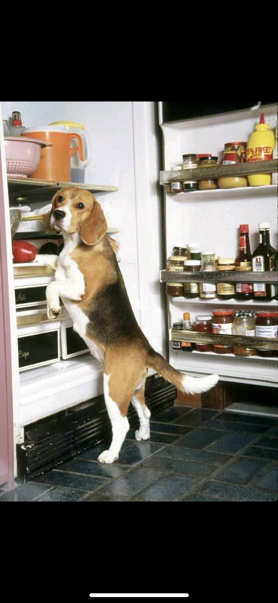 Samantha Crowley tweet media