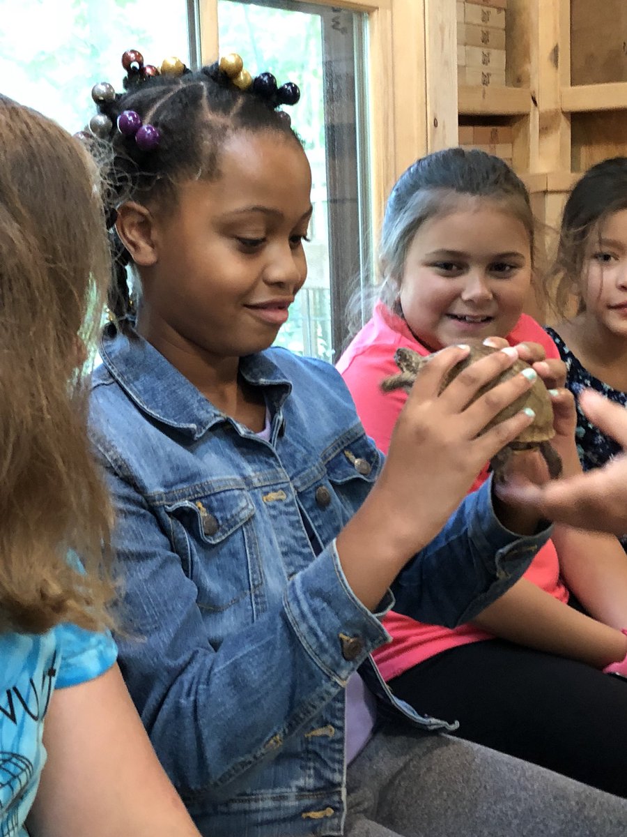 AlexandraLena22's tweet photo. For-mar Nature: playing with some new animals! #LFLeads #LFchidcare #LFCCbeapartofagreatsummer https://t.co/GPll47n9yh