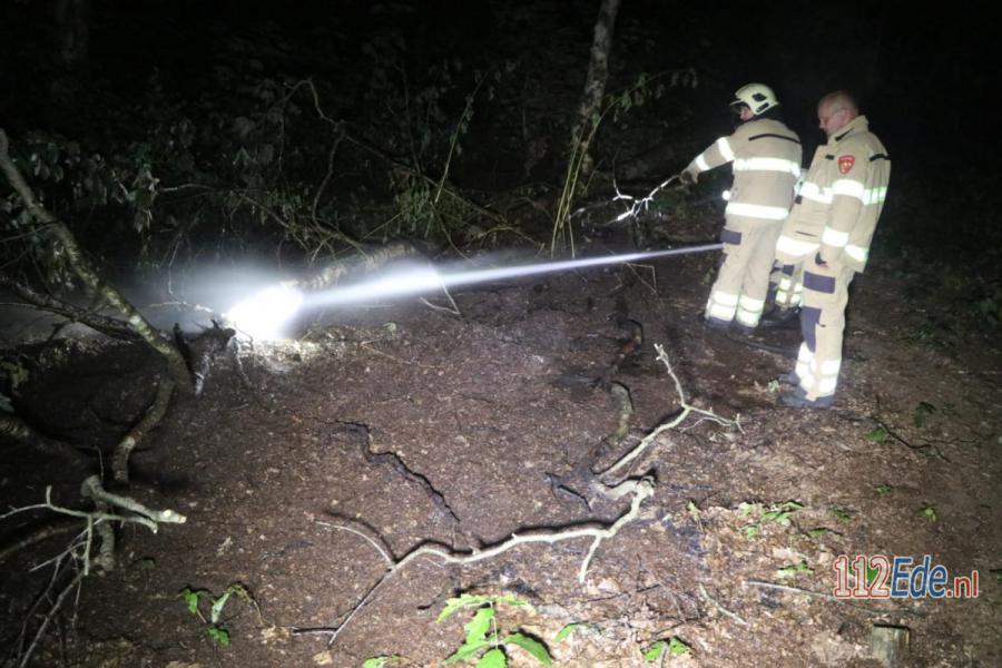 🚨 Brandweer blust kleine natuurbrand op de Otterloseweg in #Harskamp 112.press/Qc0v3c 112Ede https://t.co/2YN6TUDHnc