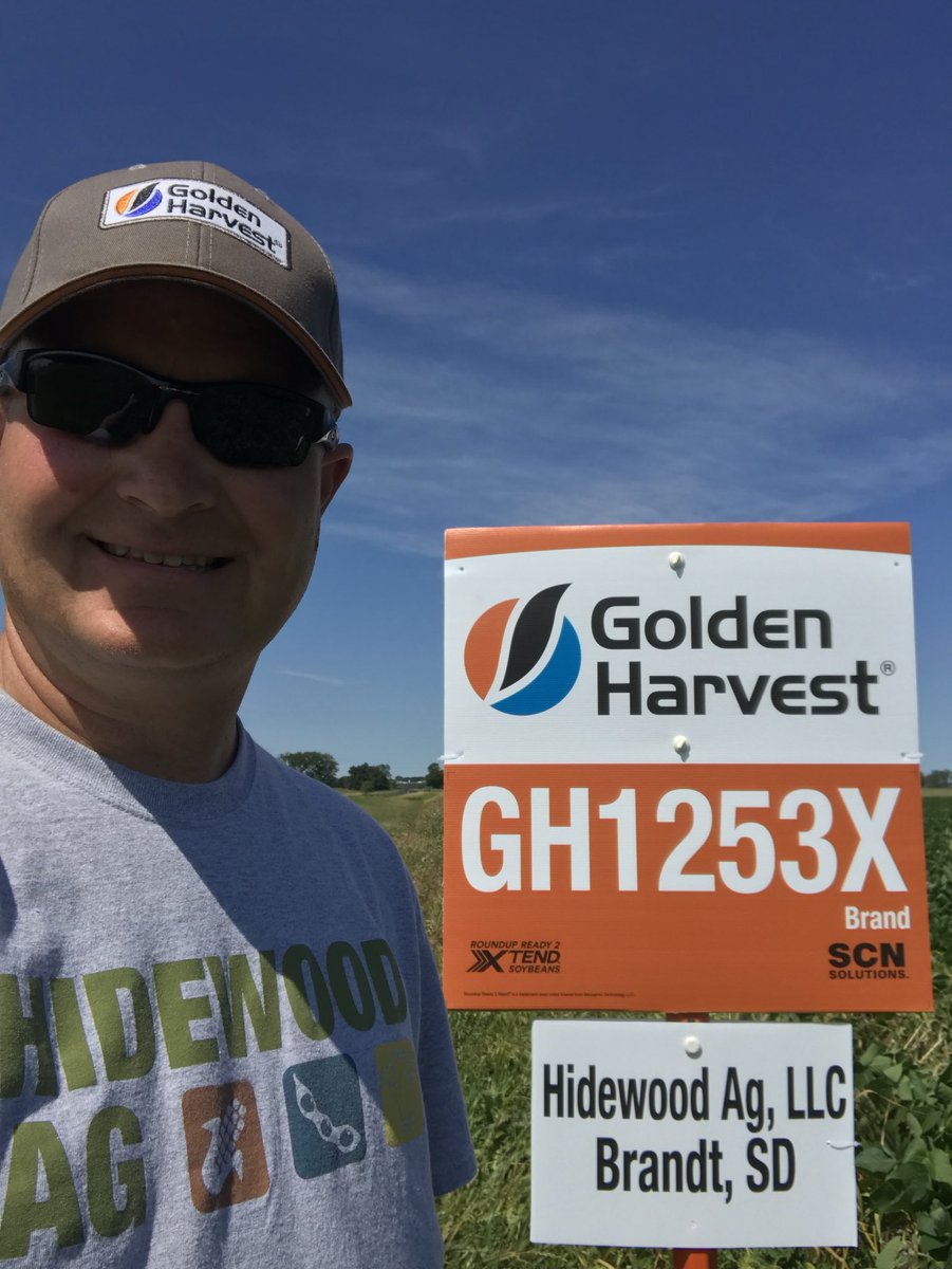 HidewoodPat's tweet image. Verndale was on a mission today!  @GldnHarvest @SyngentaUS #cruisermaxxvibrance