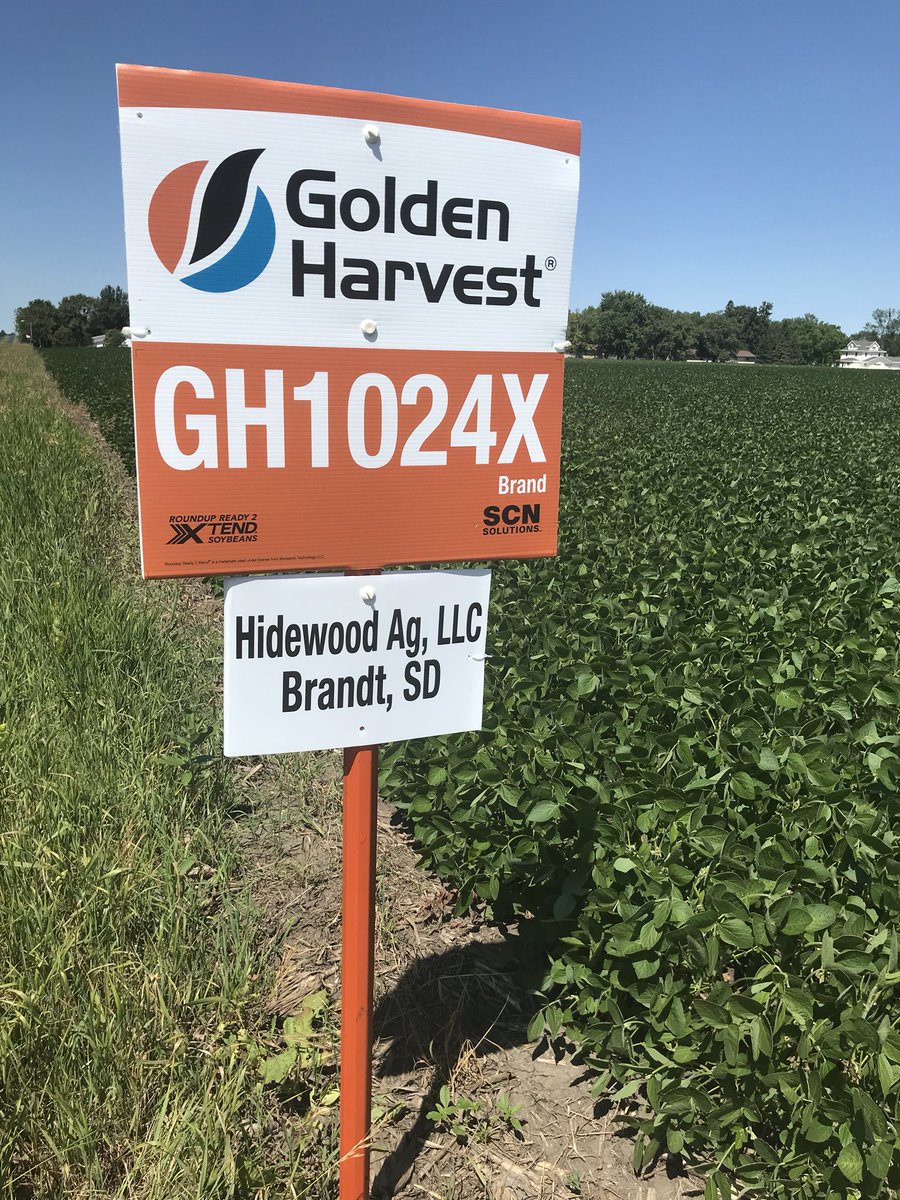 HidewoodPat's tweet image. Verndale was on a mission today!  @GldnHarvest @SyngentaUS #cruisermaxxvibrance