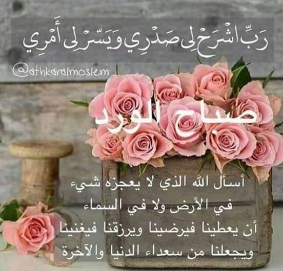 abuanja tweet media