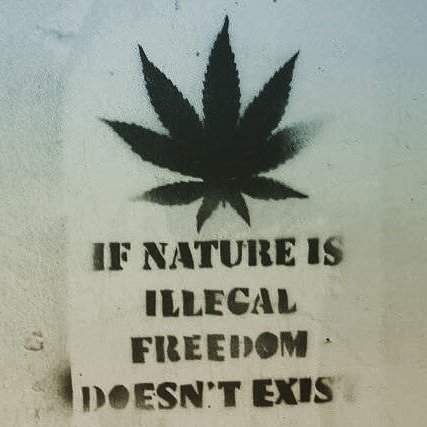 <a href="/johnnyrebel907/">John Goodman</a> @StephaniedeJag3 <a href="/cannaworldsite/">CannaWorld</a> <a href="/james_bong13/">TrutherBong13</a> <a href="/crazybatmanfan/">Crazy Batman Fan</a> <a href="/Hippie_of_Love/">Becca☮️💟✝️ 🇺🇲</a> <a href="/ChefJoeette/">joeette Benjamin AKA Aubela Mota Jojo👨🏾‍🦼🌬️🪴</a> @realmedicineMI <a href="/Bklynbby/">Beautiful Soul✌️</a> @nani_booboo @nuTTTz_ <a href="/KushiThe/">TheRealKushiKat</a> <a href="/afterdarkmusic/">AfterDark</a> <a href="/OneFallenAngelM/">Fallen One, with A Lamp</a> <a href="/PositivePyrami1/">Fully Vaccinated Pyramids</a> <a href="/samrulestheworl/">Miss Melissa</a> @HazyHula <a href="/VindiolaM/">Elysia M.Vindiola</a> "One day we'll outnumber the bad guys."  -Captain JohnnyRebel, #AOP

Really #Love that thought, J! And a bona-fide a rebel you are, at that!

An Outlaw in most states. In a country at war with plants &amp; reason. 

It's all a "Grand Illusion" dear @JonnyRebel907!

#WeAreCannabis! 👊