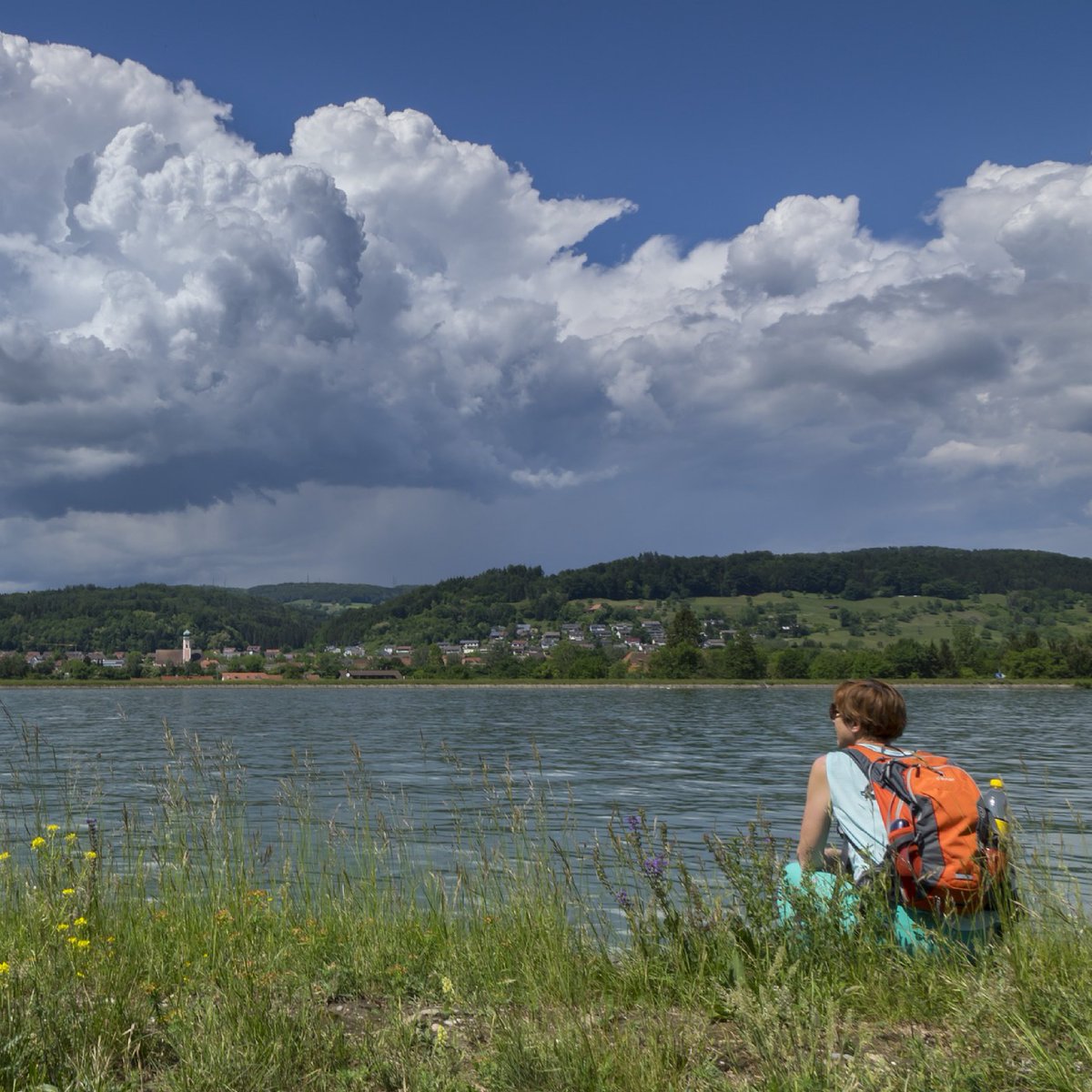 Nicolet Water tweet media