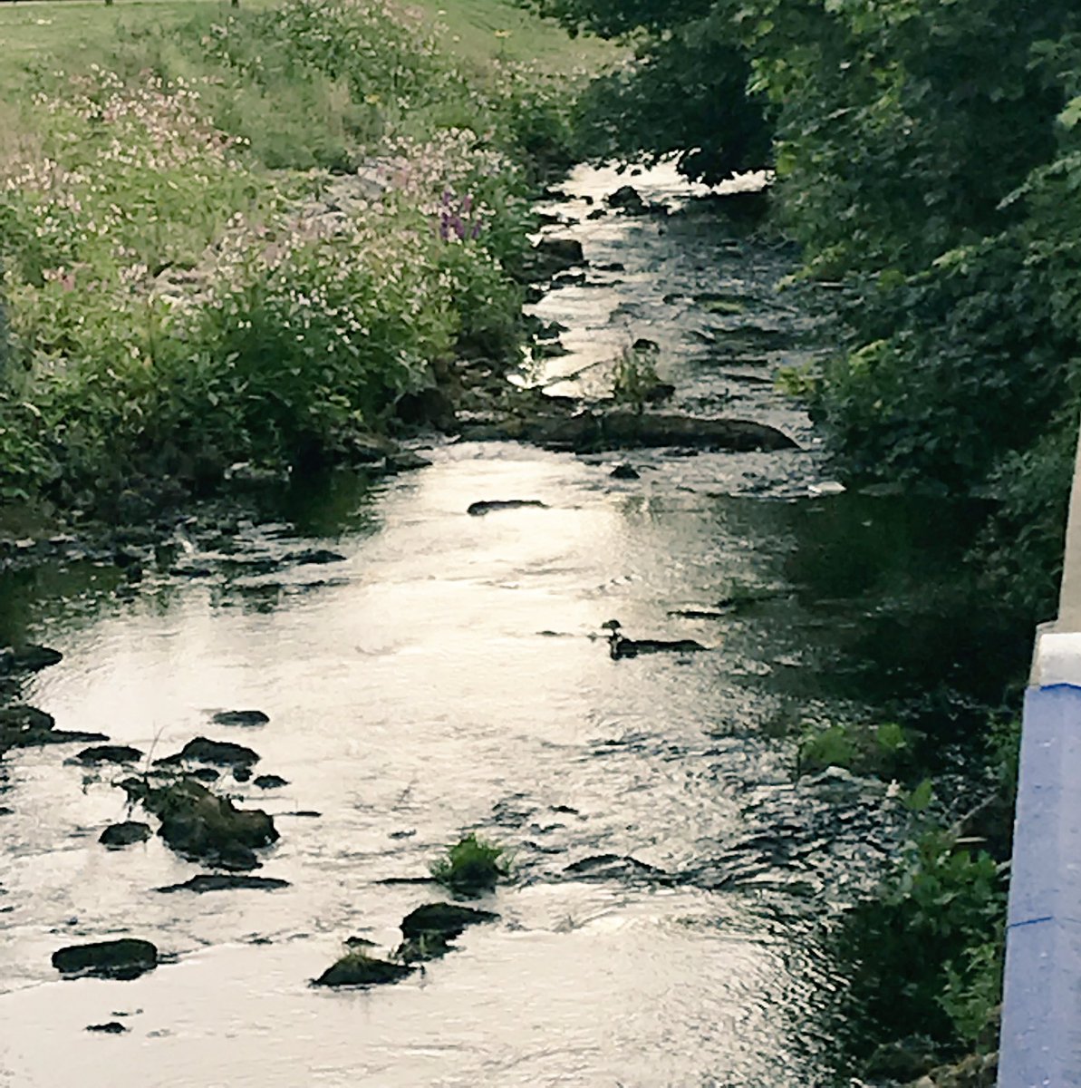 DungloeD's tweet photo. #DestinationDungloe this evening #MFD2018 #DungloeTidyTowns https://t.co/SAaijqBhvS