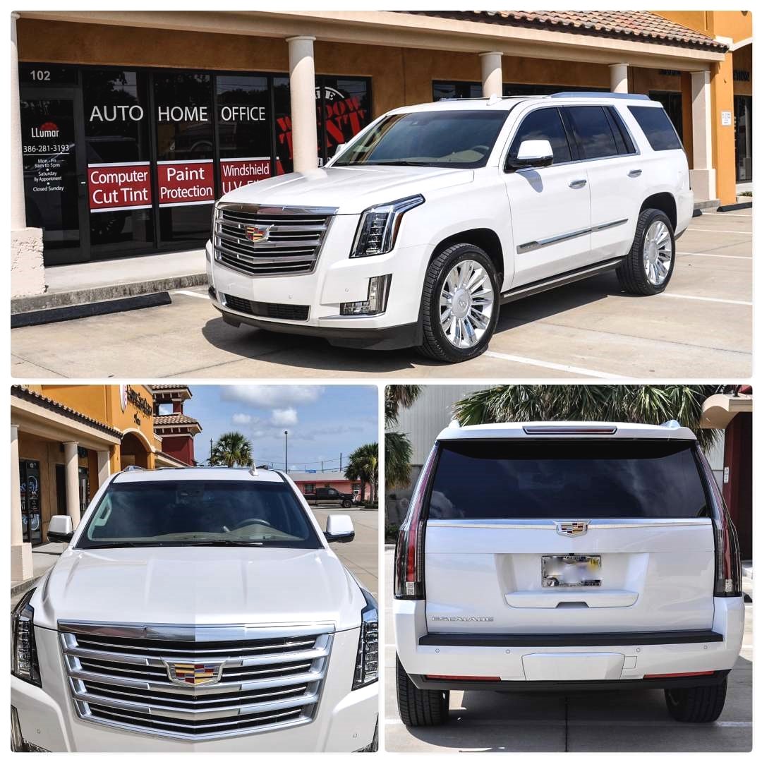 Window Tint Daytona Beach (daytonatinting) Twitter