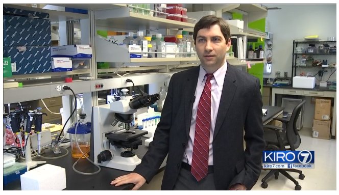 KidneyResInst's tweet image. ICYMI: @BenoFreedman’s robot-producing mini #kidney organoids were featured in a recent story by @KIRO7Seattle. nephrology.uw.edu/news/kiro-7-tv…. #kidneydisease #stemcells #research #kidneyresearch #innovation #science