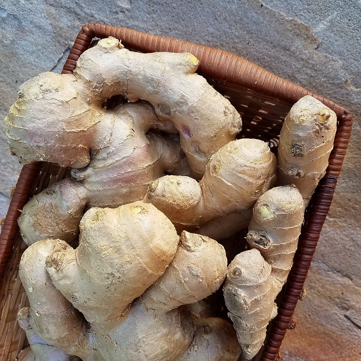 LivingKombucha's tweet photo. #Ginger has anti-inflammatory properties which is why we include it in our Ginger Berry and Spiced Roots #Kombucha! https://t.co/6Lpf0qPO8i