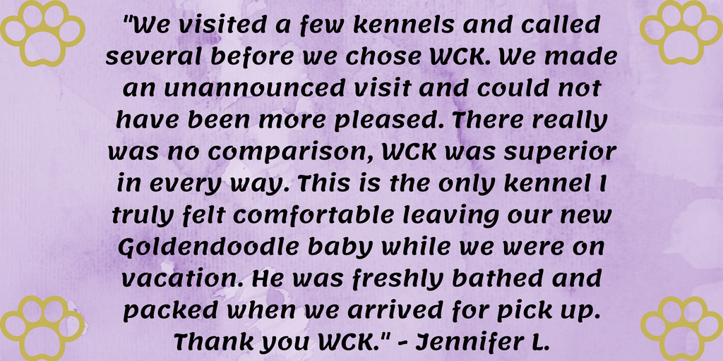 WCK35078's tweet photo. Thank you Jennifer for this sweet review 💜
#WorldClassKennels #Canine #Greystone #Chelsea #Birmingham https://t.co/jDYjOSOsBQ