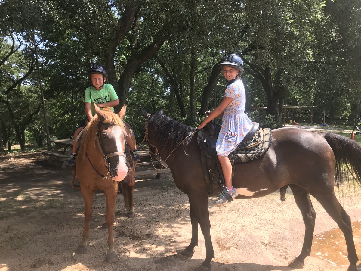 hollow_farm's tweet photo. Now booking horseback riding ONLINE! #ridewithus #Fairhope #FarmLife https://t.co/GOj2INpuUM https://t.co/Nbt3ODJT3o