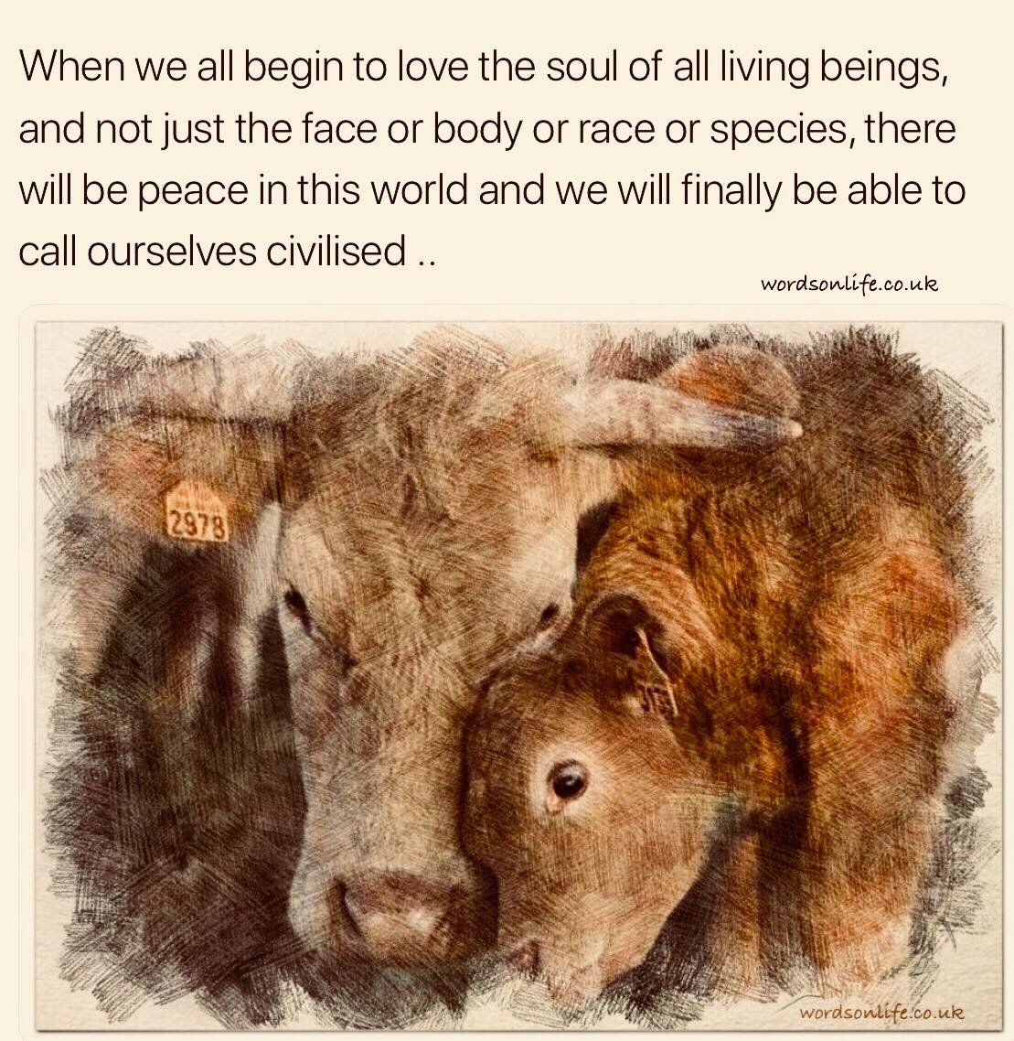 WordsOnLife on Twitter: ""Animals do have a voice.. If you ignore their