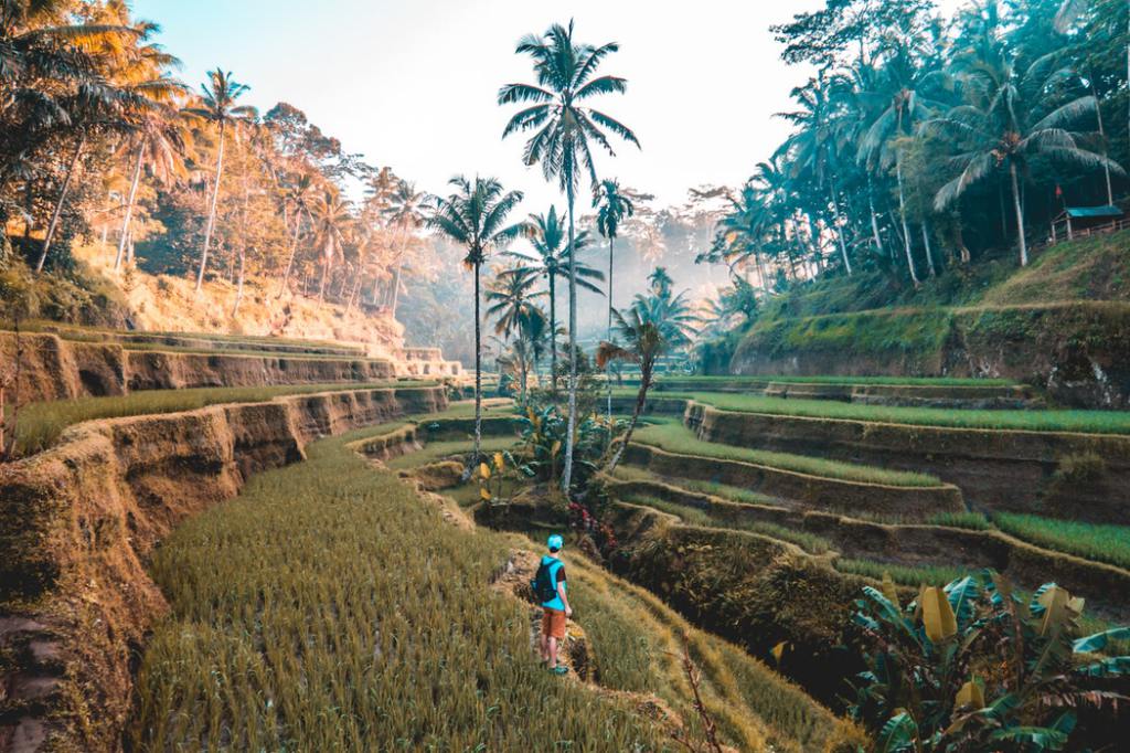 Ever wondered why so many people go to Bali? So did we until we found out for ourselves ;) Find out our favorite places (plus a few of our not so favorites) around the island fo the gods. lifeismeantforexploring.com/2018/07/18/ult…
