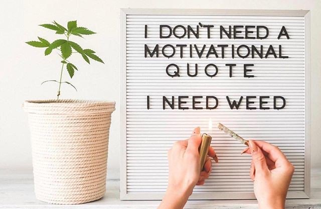 GreenGoddessSup's tweet photo. Reposting @tightpac:
Seriously. It's Friday.
.
.
.
.
#friday #mood #fridayfeeling #friyay #anti #quotes #rollitup #weed 
#fridayfun #tightpac #cannavac #green #cannabisculture #cannabiscommunity #420life #mmjlifestyle #mmj #medicalmarijuana #weshouldsmoke #womeninweed https://t.co/rc7L8vEINz