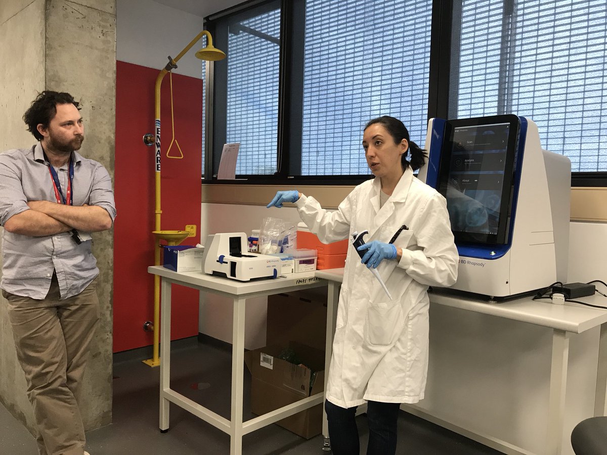 FarbehiNona's tweet image. So excited to run BD Rhapsody for the first time in Australia 🤩@G_WCentre #BD @garvanflow