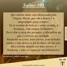 estrela_so's tweet photo. https://t.co/fgkupzLBTe