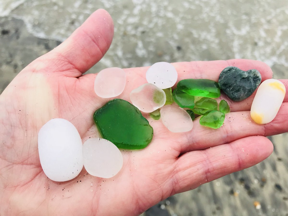 C2ReverseMtg's tweet photo. Found a few things along the way today. #oceanside #saveacritterdontlitter #northOhomes #seamonsterhomes #C2Financial #calstaterealty #scottandshelleyweier https://t.co/7d2jWiZ5mo