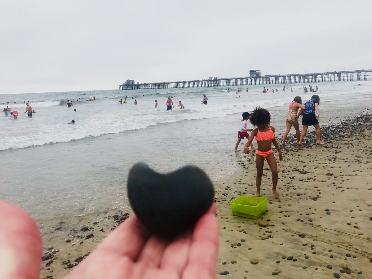 C2ReverseMtg's tweet photo. Found a few things along the way today. #oceanside #saveacritterdontlitter #northOhomes #seamonsterhomes #C2Financial #calstaterealty #scottandshelleyweier https://t.co/7d2jWiZ5mo