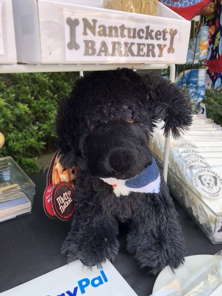 yellowlablover's tweet photo. Oliver is still alive in #spirit and these lovely ladies take him to every event as their #luckycharm. Momma is proud and #humbled by this beautiful tribute to a dog that saved my life #newf #Newfie #Otrb #gone but not #fogotten #myboy #amazeballs https://t.co/NFMeOejRJq