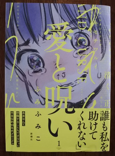 こだま ふみふみこさんの半自伝 愛と呪い 第1巻 圧倒されてしまった 父親による性的虐待と宗教に毒された家族や学校 違和感を持ちながらも心を 無 にしないと居場所を確保できなかった主人公がどう生きてゆくのか 恐ろしくてたまらないけど続く限り
