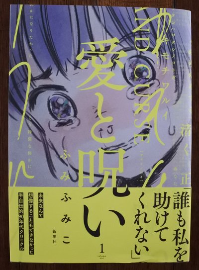 こだま Auf Twitter ふみふみこさんの半自伝 愛と呪い 第1巻 圧倒されてしまった 父親による性的虐待と宗教に毒された家族や学校 違和感を持ちながらも心を 無 にしないと居場所を確保できなかった主人公がどう生きてゆくのか 恐ろしくてたまらないけど続く限り