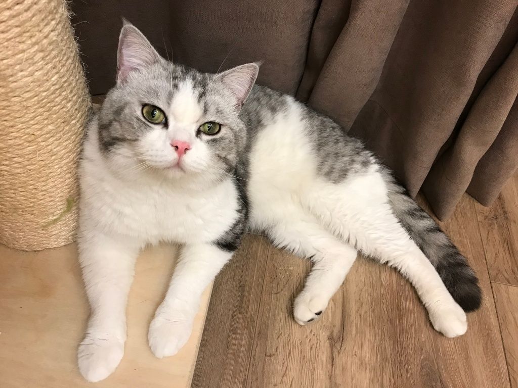 YcsjPet's tweet photo. daze here. https://t.co/KHulrcUW1o