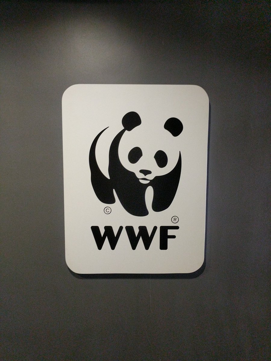 IanBezanson's tweet photo. A rather surreal trip to #toronto this week to meet with these adorable pandas to talk all things digital 🐼 https://t.co/ui1uNNP73Y
