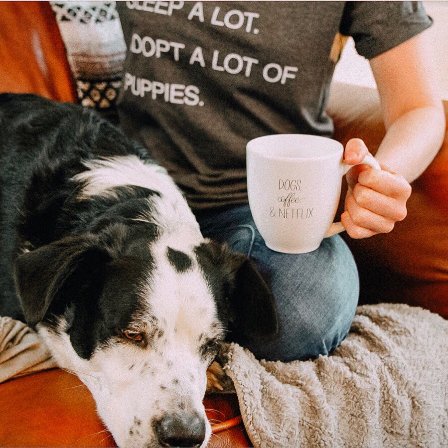 Eat a lot. Sleep a lot. Adopt a lot of puppies. Drink a lot of coffee. Watch a lot of Netflix. These are my life mottos.