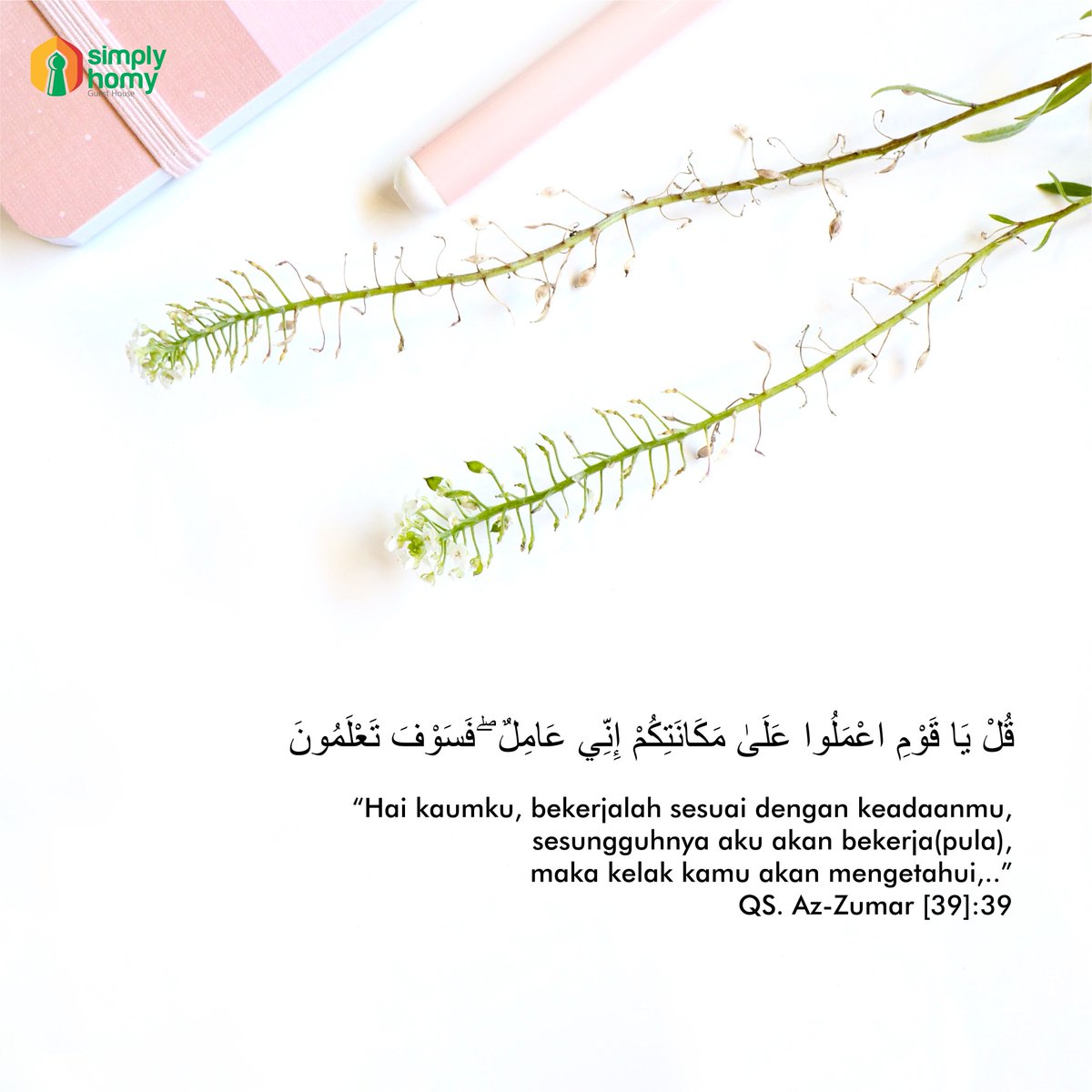 66+ Download Gambar Motivasi Pagi Gratis