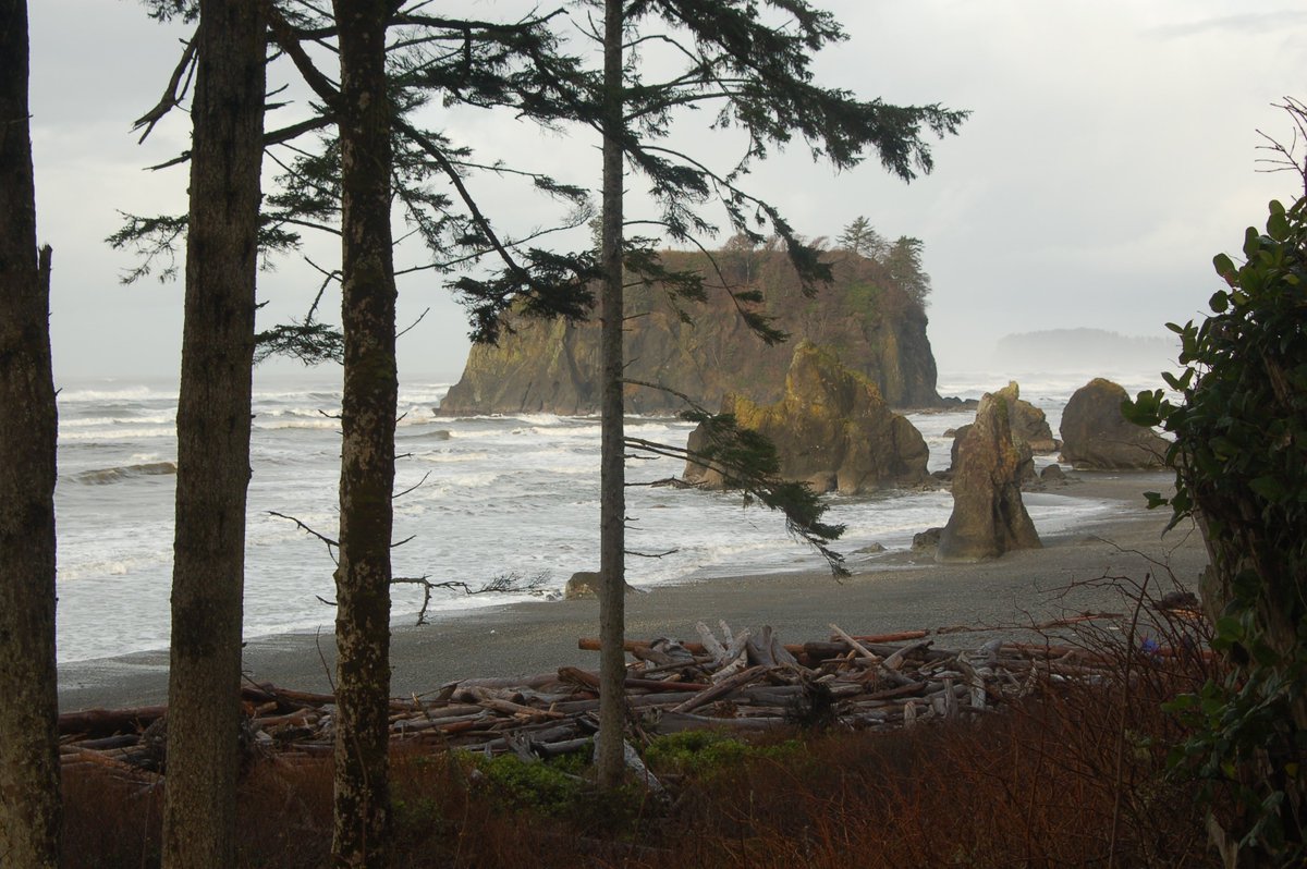 Driftwood line a Pacific Ocean beach with rock formations close to shore.