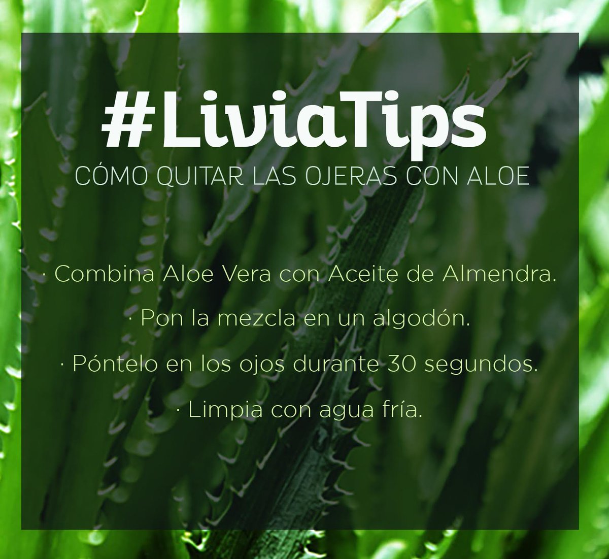 liviabritoof's tweet photo. Exceso de trabajo y de fiesta son las razones más comunes por las que nos salen ojeras 😞pero no se preocupen mis #aLIVIAnados, hoy les tengo un #LiviaTip que terminará con ese problema! ¿Lo han probado? 🤔 https://t.co/1YHN1SShmG