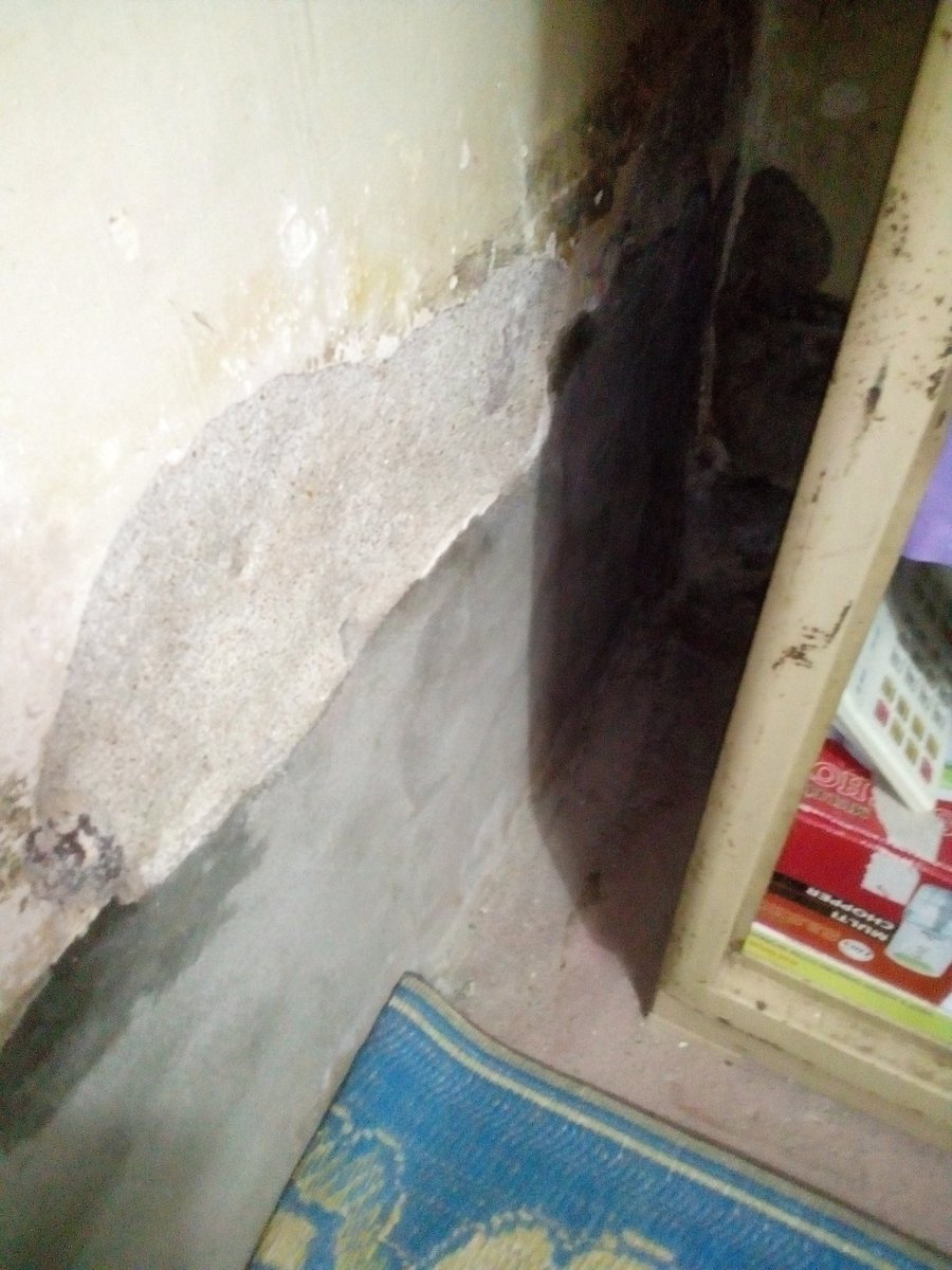 الحمدلله🌙البيت كله مغفق بمونةرمل جبس وأسمنت والسقف بجبس فقط مما تسبب فى دمارخطيرصح ياسيسى ولا غلط والحق أحق أن يتبع