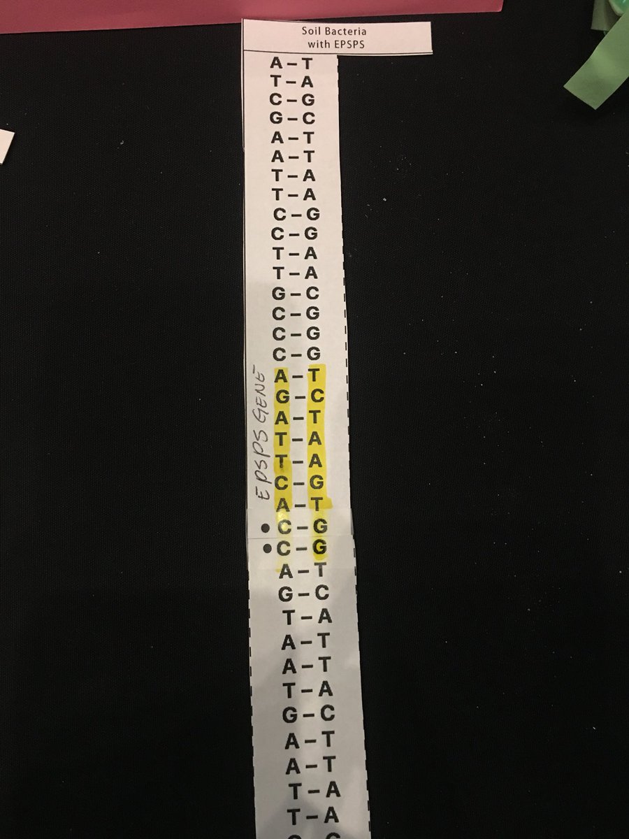 Made it all day without getting confused, 30 mins before the day ends and this about got me. Figured it out thanks to collaborating with <a href="/lawilliford/">Laura Williford</a>! #NATAA18