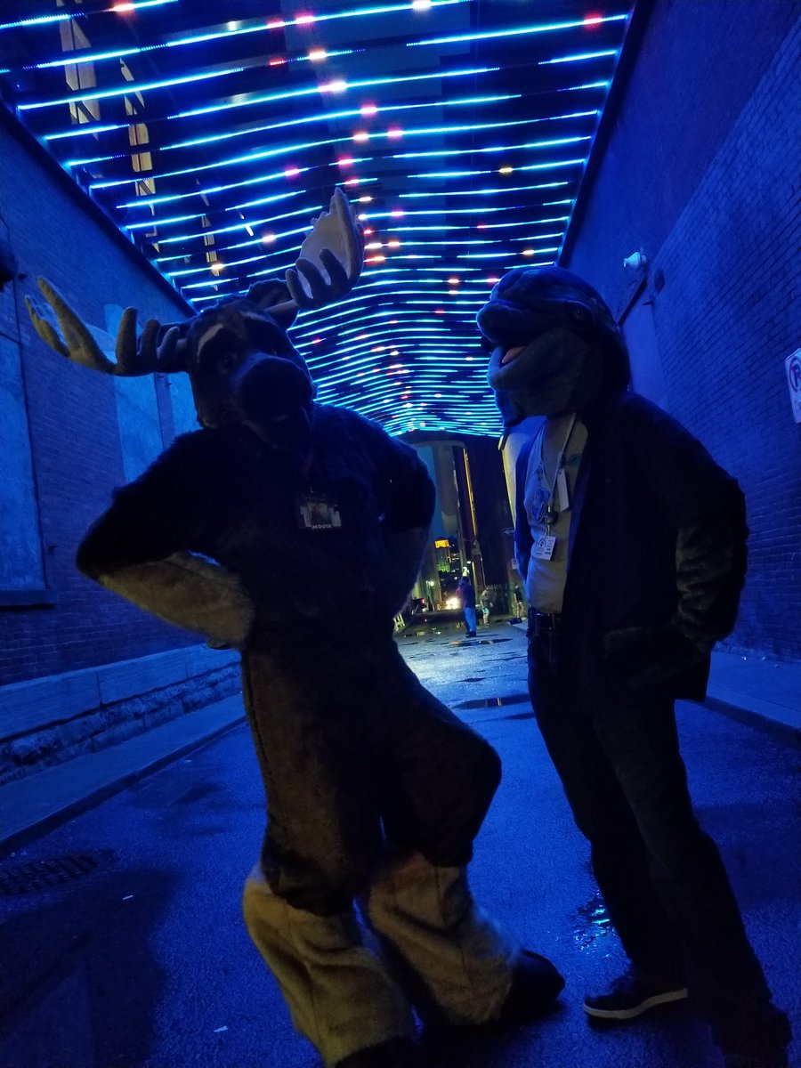 poofsuits's tweet photo. @Dolphynvisions @DJ_Hollowpoint @CrelegantFairy @PoppyDeare @BaldricSheep @2DumbDutchies @KemoCube @croxlthekax @RedHot_Yamada @Axikor2 @AzurelHusky @_BlueMoonKin_ @DarkPhox @WanderersEmp @BunKyoho @Furrydelphia  https://t.co/LjSnDYdGjo