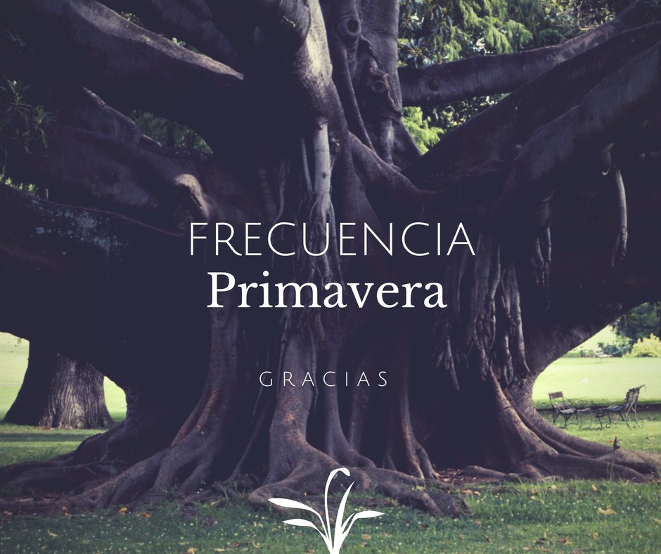 PrimaveraVideos's tweet photo. #Gracias https://t.co/ikD5KUCgKY