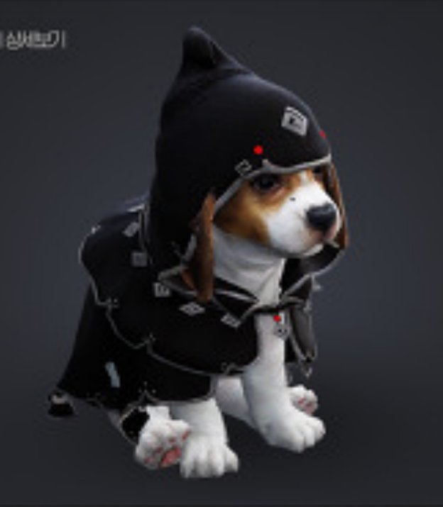 くーがー 7 19韓国パッチ新パール品 3周年記念パッケージ 内容は新ペットの 黒いマント犬 黒いマント猫等 闇精霊コスプレの 犬 黒い砂漠